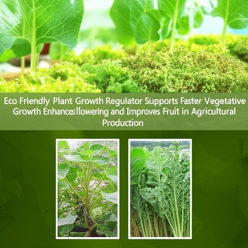 Eco Friendly Plant Growth Regulator Supports Faster Vegetative Growth Enhances Flowering and Improves Fruit in Agricultural Production