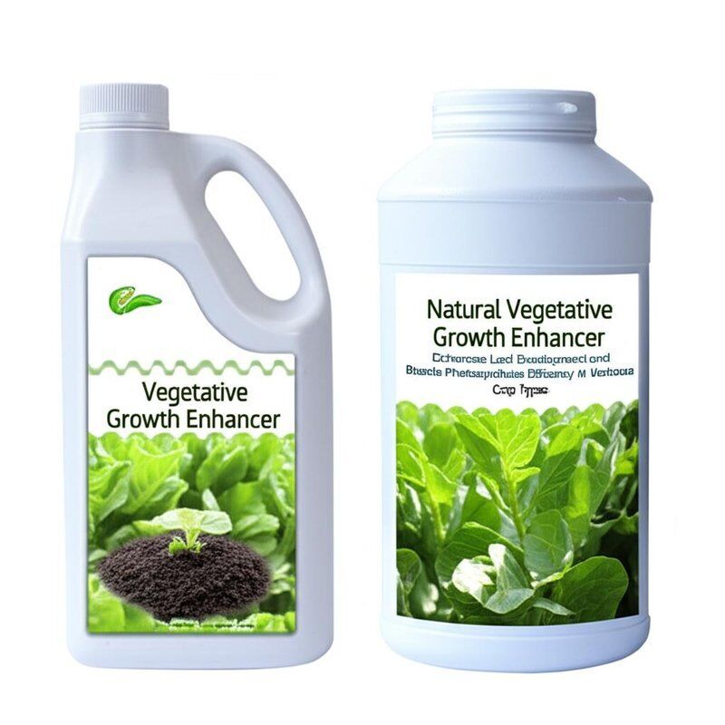 Natural Vegetative Growth Enhancer Enhances Leaf Development and Boosts Photosynthesis Efficiency in Various Crop Types